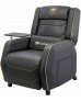 COUGAR RANGER PRO ROYAL Adjustable Gaming Sofa with Detachable Swivel Table, Breathable PVC Leather, Side Storage Pocket, USB Type-C Charging Port, Headrest & Lumbar Pillow, Black/Gold | 3MRGPGLB.0001