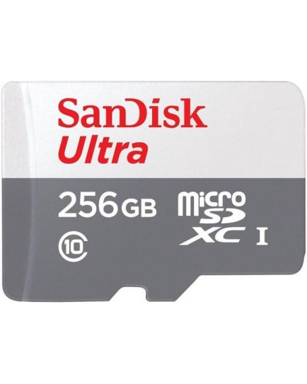 SANDISK MICROSD SDSQUNR-256G-GN3MN